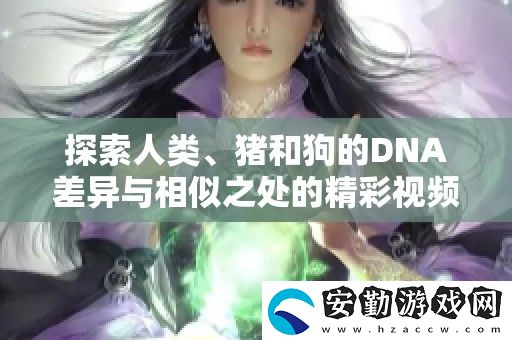 探索人類、豬和狗的DNA差異與相似之處的精彩視頻解讀